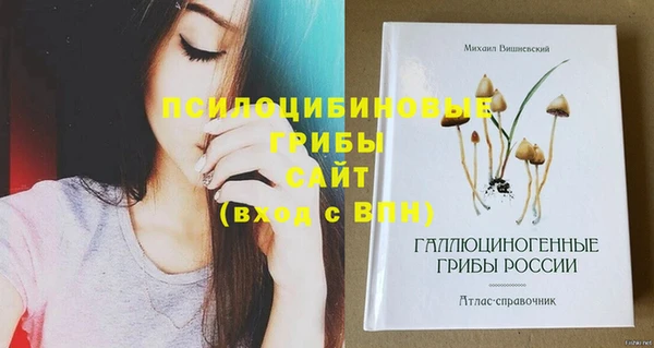ECSTASY Алексеевка