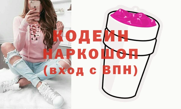 индика Алексин