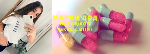 индика Алексин