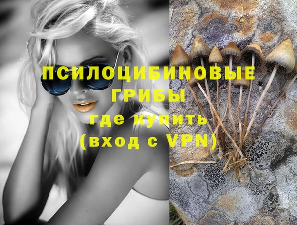 ECSTASY Алексеевка