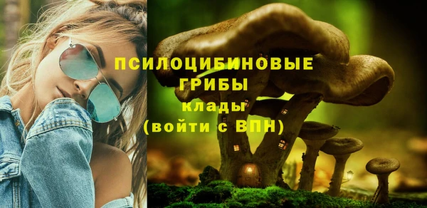 круглые Абаза