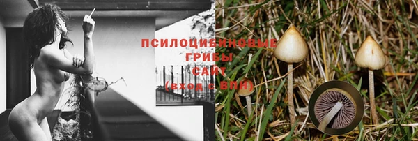 круглые Абаза