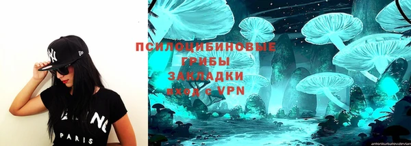 круглые Абаза